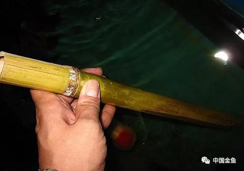 養(yǎng)魚最新工具概覽，創(chuàng)新產(chǎn)品助力養(yǎng)魚事業(yè)?