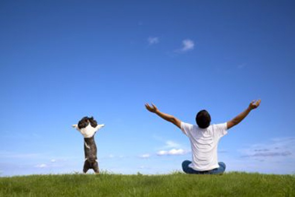 月丘最新視頻，高科技重塑生活，體驗未來科技的魅力