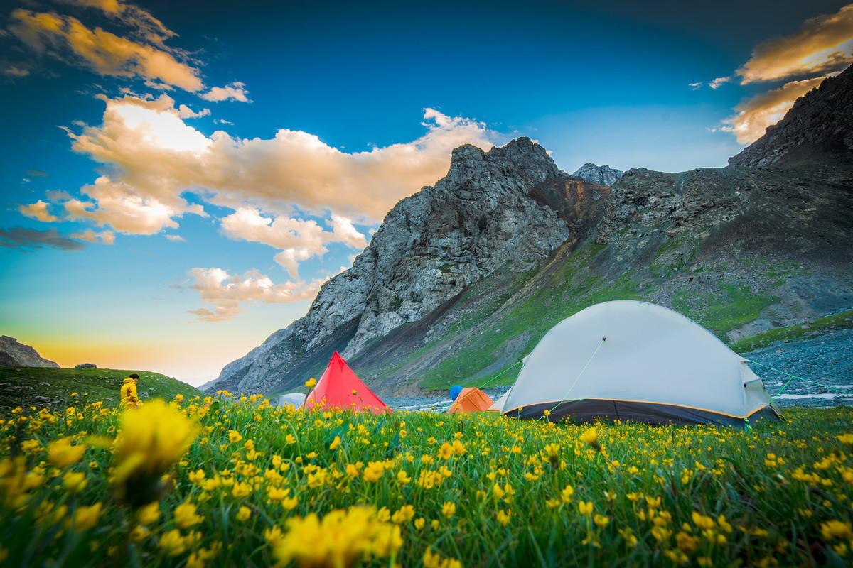 芳草冰視最新，任務(wù)完成與技能學(xué)習(xí)詳細(xì)步驟指南