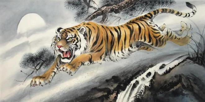 四虎之力新紀(jì)元，探索潛能與力量的無限可能