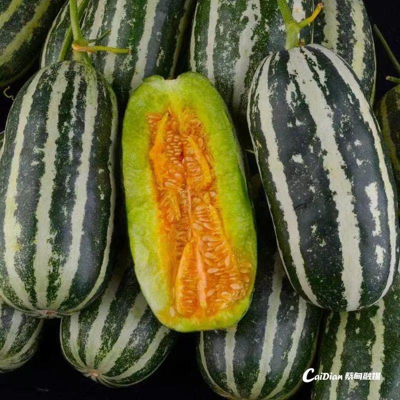 網(wǎng)紅最新瓜，一場溫馨有趣的日常故事揭秘