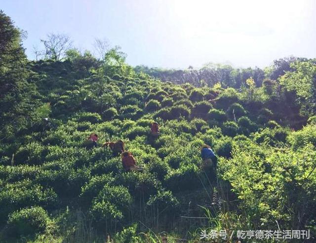 宣城新冠病毒防護(hù)指南，最新防護(hù)策略及應(yīng)對(duì)方法