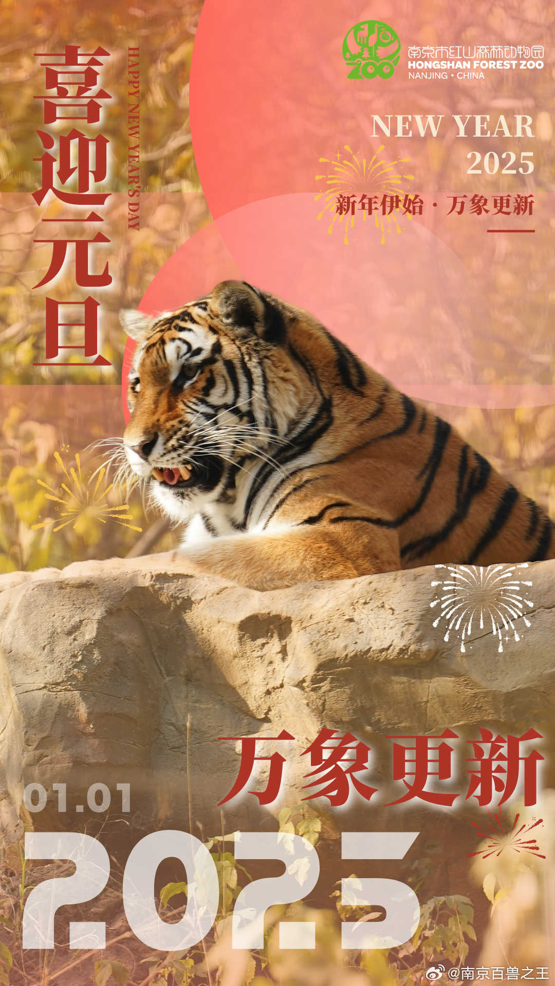 最新年伊始，完成某項任務或學習某種技能的詳細步驟指南