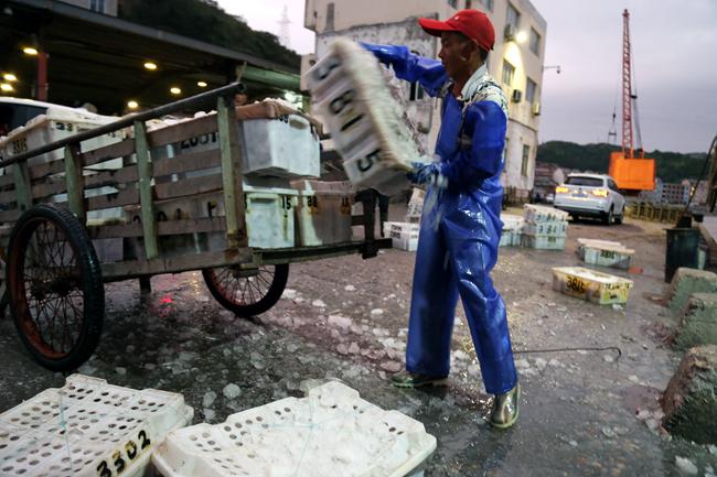 直擊臺風中的漁船動態(tài)，最新臺風漁船視頻更新