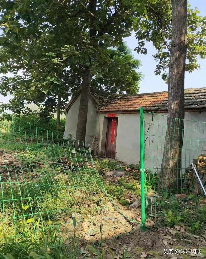 網(wǎng)曝門最新動態(tài)，任務(wù)完成與技能學(xué)習(xí)指南全攻略