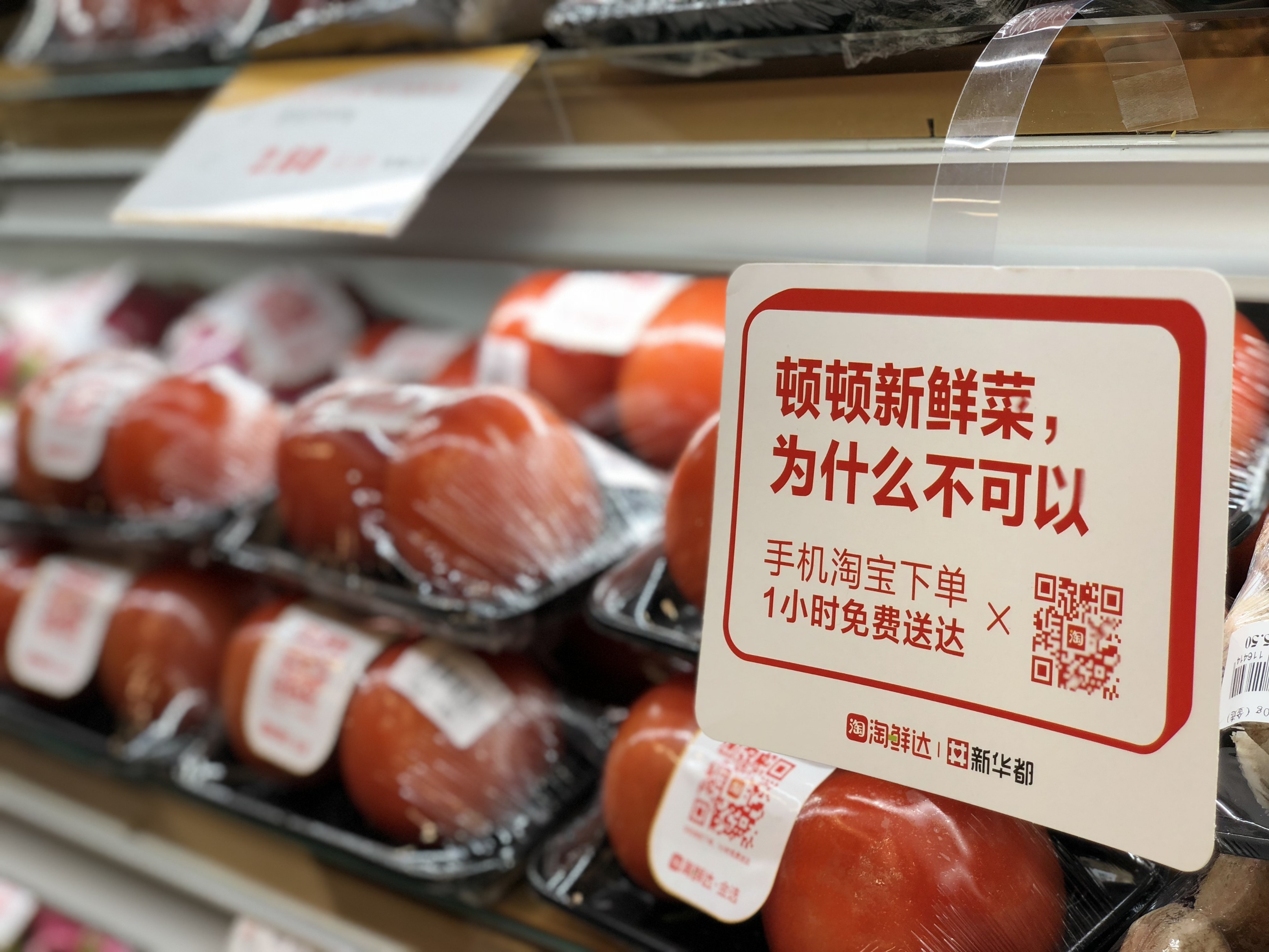 小巷中的秘密美食天堂，淘最新鮮美食之旅