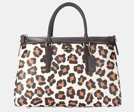 最新大牌包包推薦，選購指南與技巧，時(shí)尚必備之選