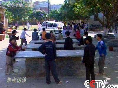 甲肝最新動態(tài)與自然美景之旅，探尋內(nèi)心的寧靜與平和