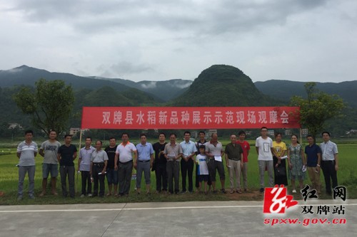 雙牌縣新時(shí)代新面貌，探尋最新發(fā)展與變化