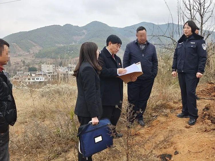 最新調(diào)解書引領重塑自我，開啟智慧人生新篇章