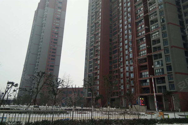 健龍果嶺公元最新動態(tài)更新，最新消息匯總