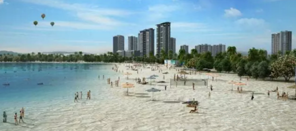 大亞灣羅健強最新動態(tài)，技能提升與任務(wù)完成指南