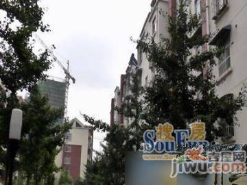 信宜玉龍山莊最新房?jī)r(jià)動(dòng)態(tài)，機(jī)遇與自我超越的旅程