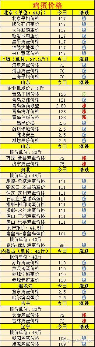 全國雞蛋最新批發(fā)價格，友情與陪伴中的溫情故事
