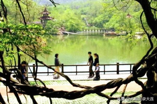 大連白云雁水最新消息概覽，最新動(dòng)態(tài)與進(jìn)展速覽