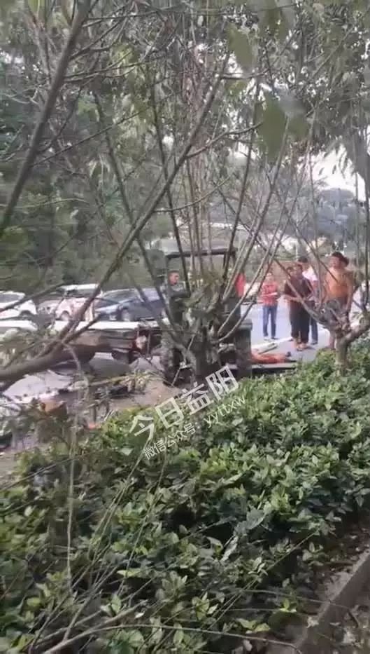 桃江竹海車禍最新進展，背后的力量與希望之光