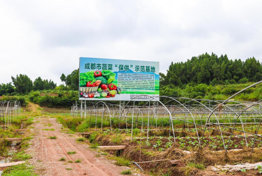 簡陽市江源鎮(zhèn)未來藍(lán)圖展望，最新規(guī)劃與未來發(fā)展