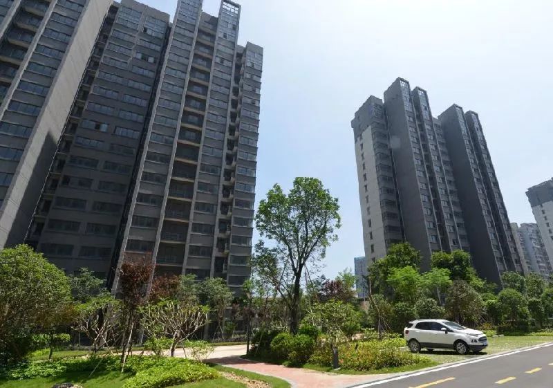 福州臚雷新城最新動(dòng)態(tài)，探索自然美景，尋覓內(nèi)心平靜之旅