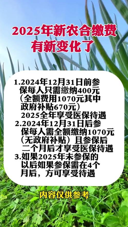 新農(nóng)合最新政策2025，背景、影響與地位分析
