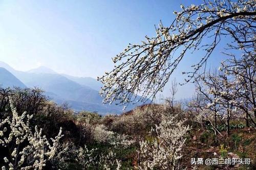 漢源九襄鎮(zhèn)最新規(guī)劃圖揭秘，藍(lán)圖下的繁榮未來(lái)