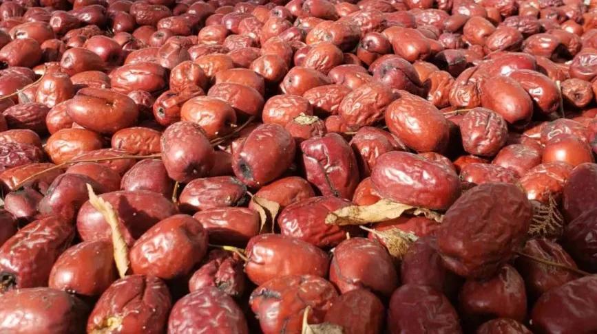 非常完美最新一期音樂盛宴，嗨翻全場的音樂狂歡！