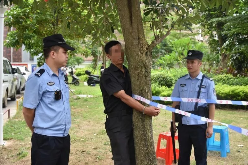 北海打傳辦最新動(dòng)態(tài)及其影響分析，一種觀點(diǎn)的視角