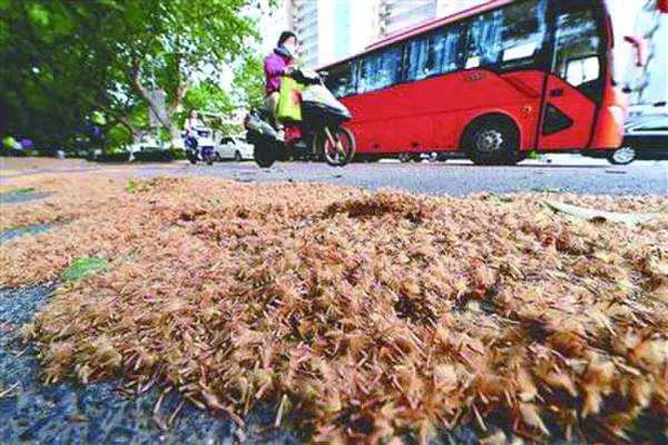 南京招聘網(wǎng)最新招聘信息上線，你的職業(yè)新起點(diǎn)！??南京招聘網(wǎng)全新上線58版?