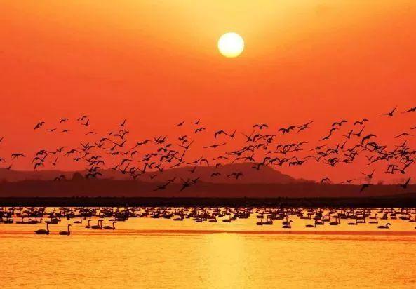 巢湖四?；▓@，科技智慧生活與房價(jià)新篇章開啟，最新房價(jià)信息一覽