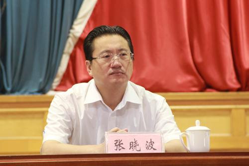 邯鄲張曉波最新動態(tài)及技能學(xué)習(xí)與實踐指南