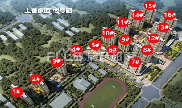 上善璽園最新動態(tài)揭秘，小巷里的隱藏寶藏新發(fā)現(xiàn)