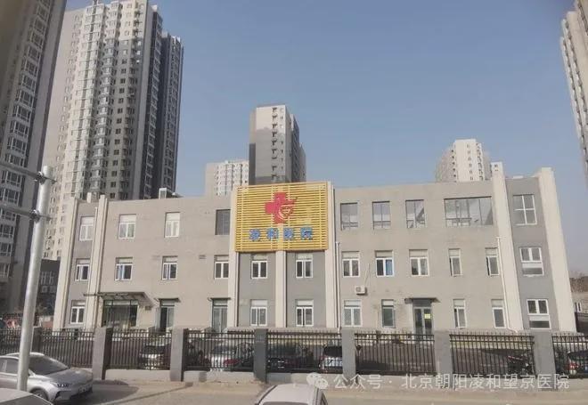 東壩福滿園，小巷特色小店的獨特魅力與最新消息揭秘