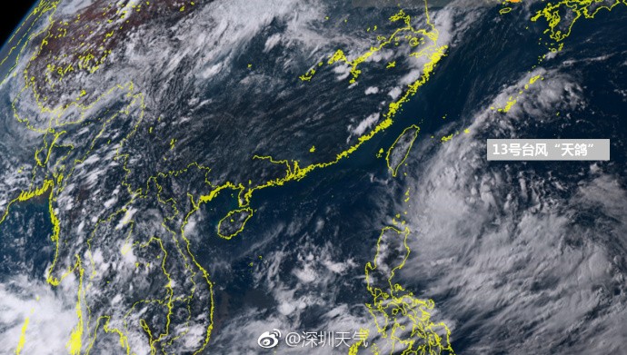臺風(fēng)天鴿來襲，深圳家中的溫馨日常趣事與最新應(yīng)對消息