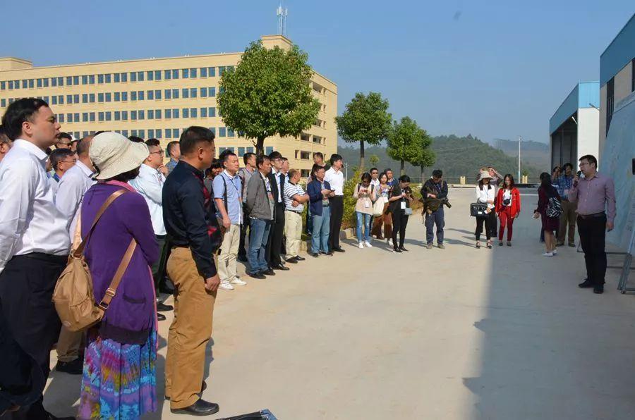 扶綏空港區(qū)最新進(jìn)展及影響，一種觀點(diǎn)深度解析