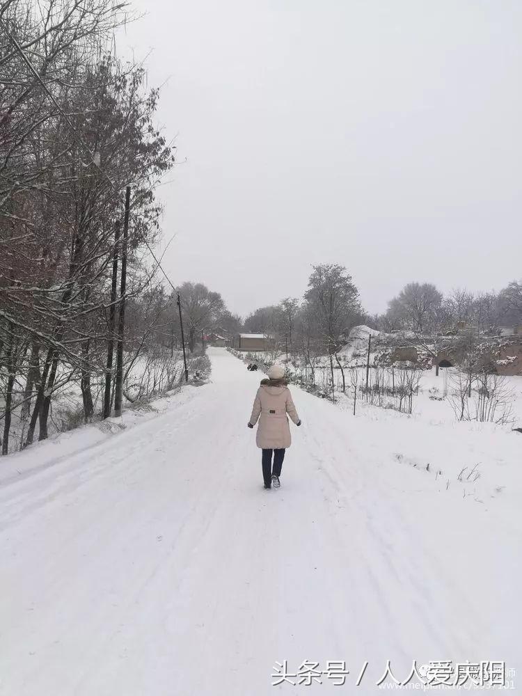 寧縣和盛鎮(zhèn)最新消息概覽，最新動態(tài)與指南