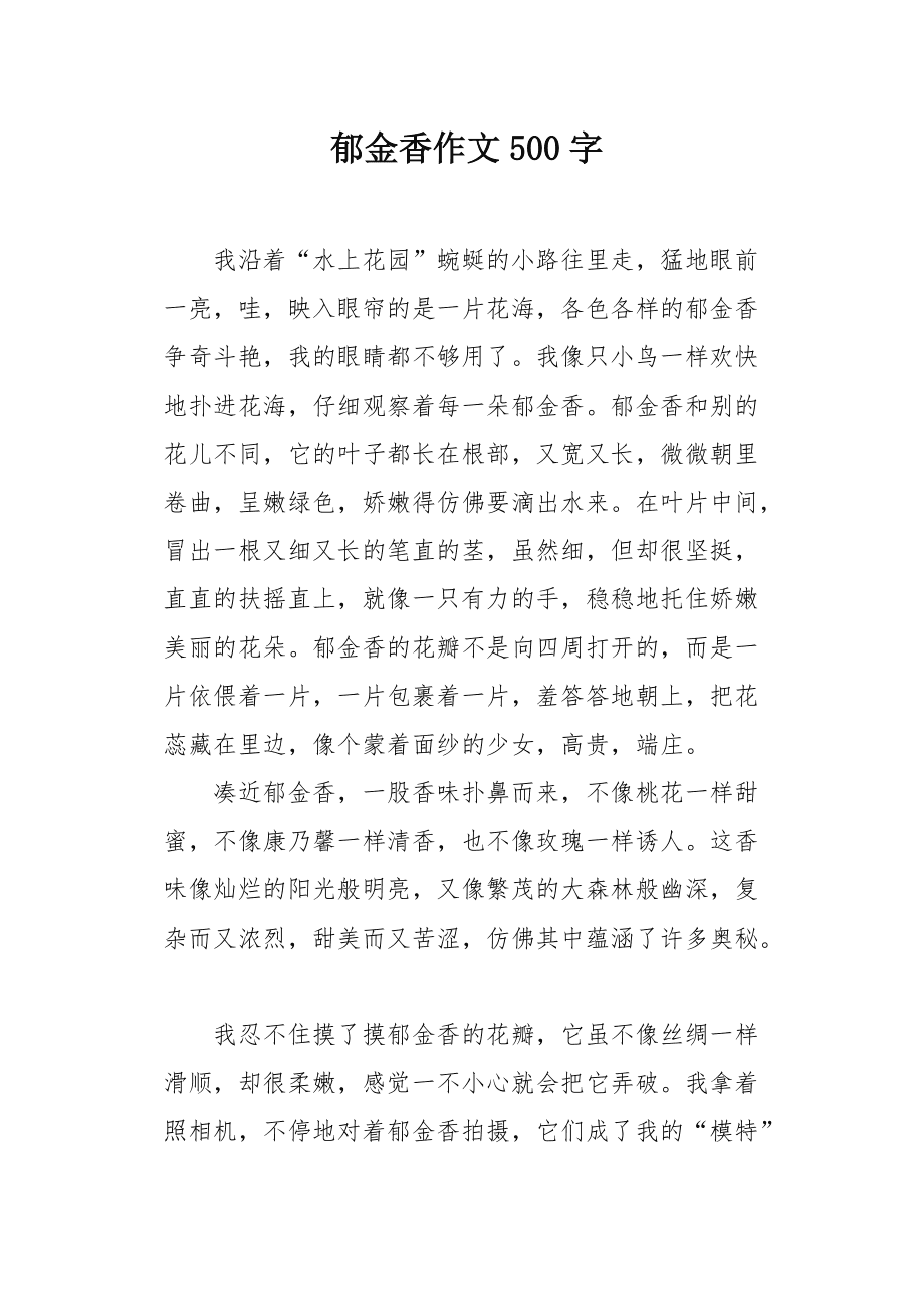 我的郁金香女友最新章節(jié)，情感與成長的交織旅程