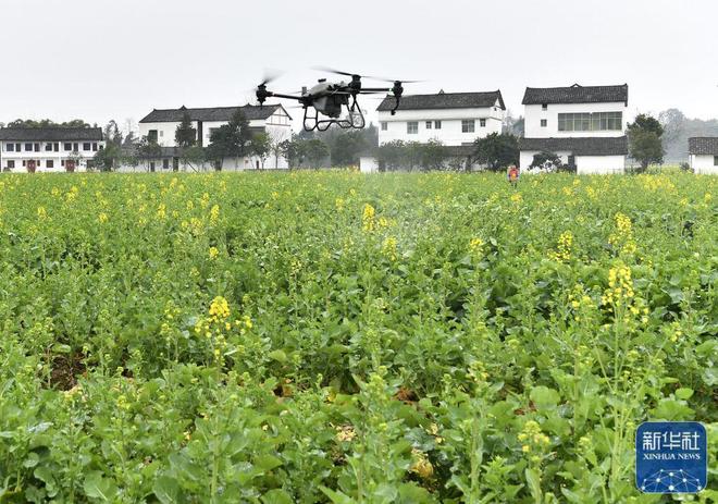 廣安市花橋鎮(zhèn)最新新聞及獲取指南，輕松掌握本地新聞技能