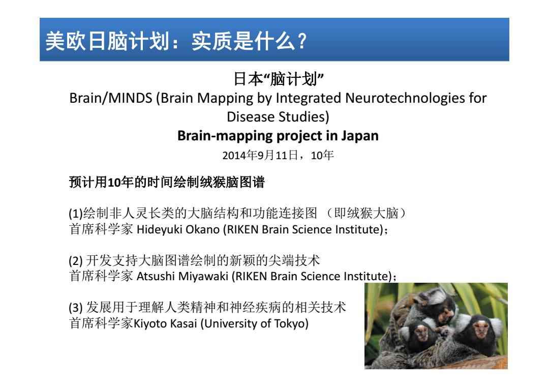 日本腦計劃最新進展揭秘，溫馨日常的新突破