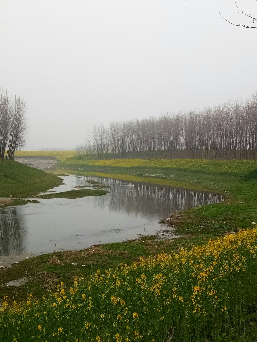 平輿縣天氣預(yù)報(bào)更新，陽光與氣象變化帶來自信與力量