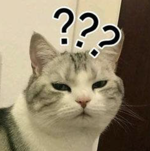 兔牙喵喵喵夢幻藝術(shù)之旅，最新作品展現(xiàn)獨(dú)特魅力