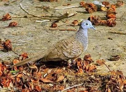 臺風苗柏最新動態(tài)，風暴中的力量與影響視頻報道