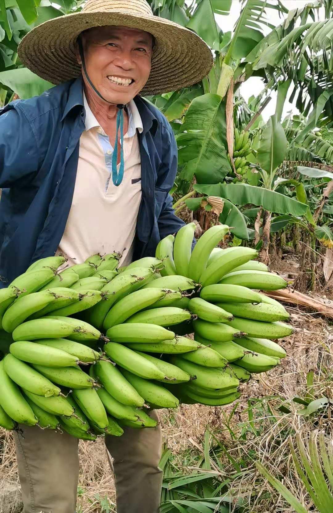 吳川新聞蘭石最新消息全解析，獲取指南助力初學者與進階用戶