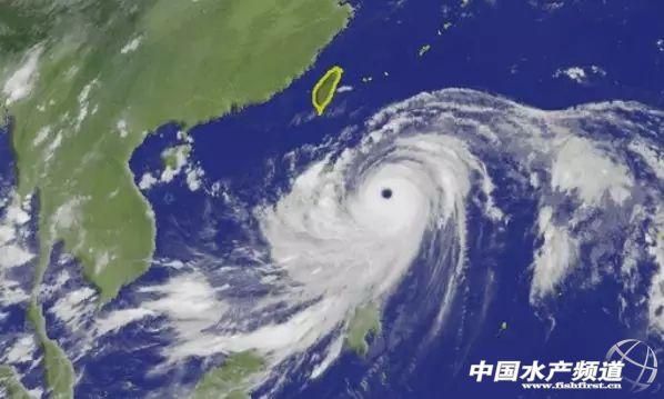 華南海域最新天氣預(yù)報(bào)更新