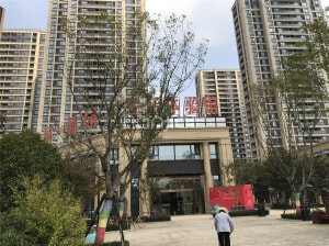 蕭縣綠城樓盤(pán)最新動(dòng)態(tài)，市場(chǎng)深度解析與個(gè)人觀點(diǎn)