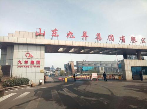 山東九羊公司蓬勃發(fā)展，引領(lǐng)行業(yè)新潮流，最新消息揭秘發(fā)展動態(tài)