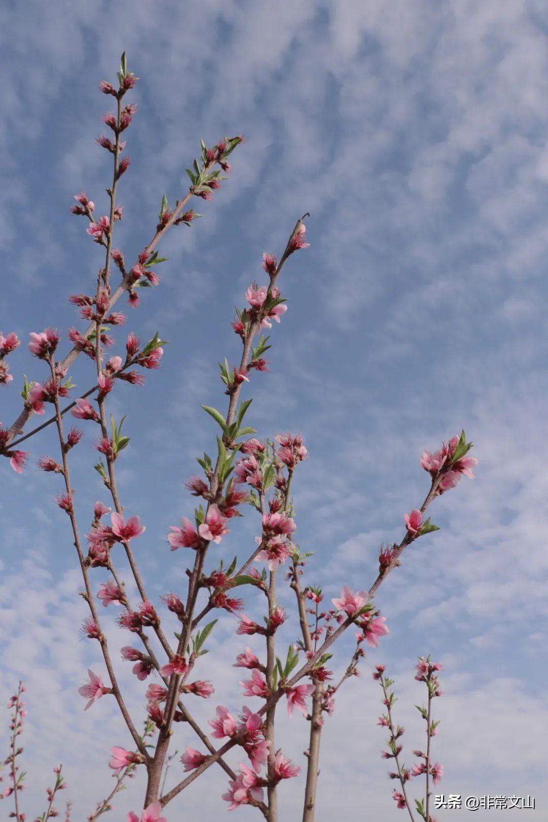 文山馬塘花莊最新開(kāi)發(fā)，學(xué)習(xí)之旅的蛻變與自信成就之源
