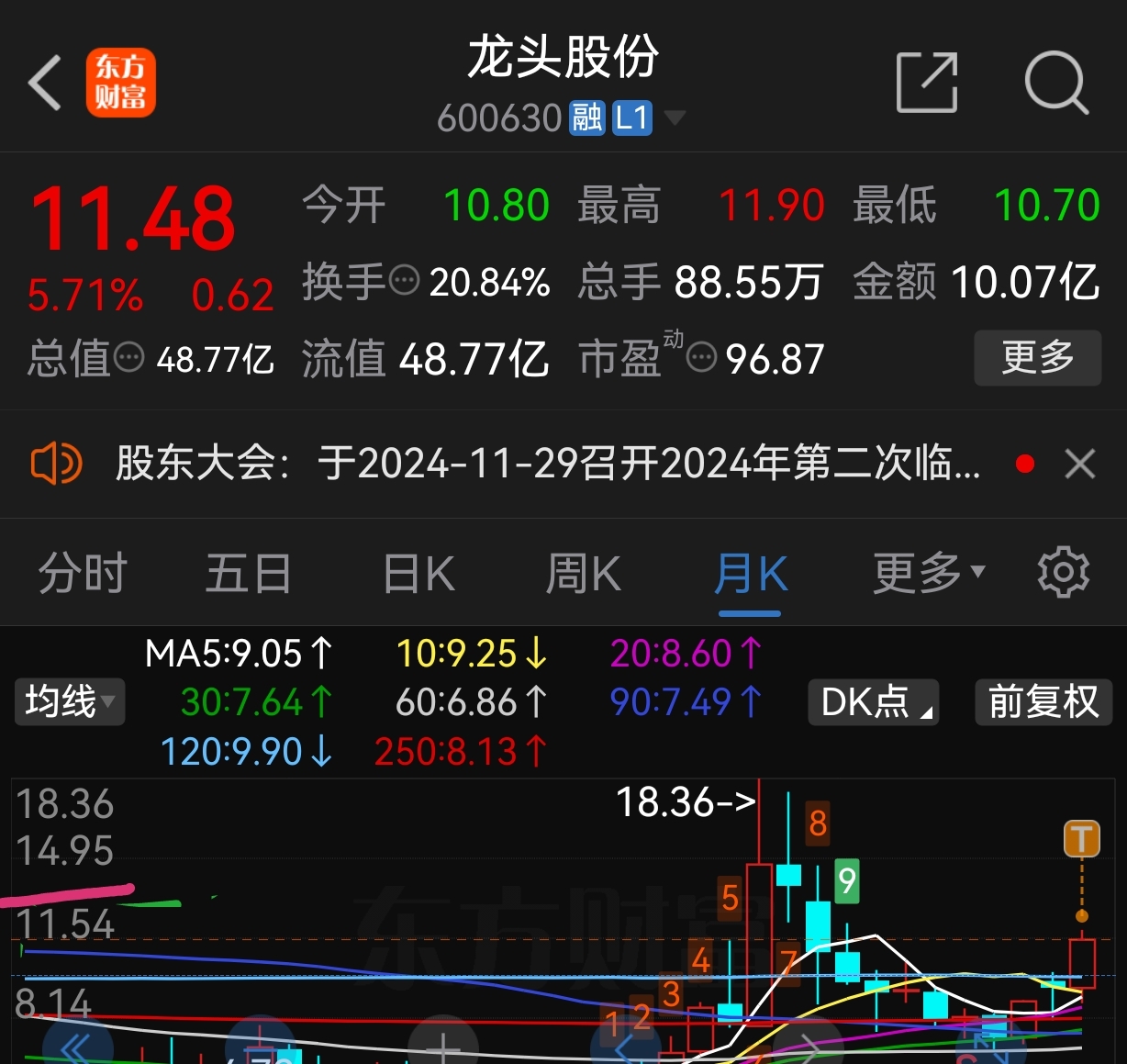 龍頭股份最新消息揭秘，小巷深處的隱藏價值