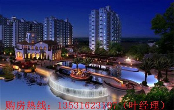 大亞灣羅建強(qiáng)最新消息，深度解析各方觀點(diǎn)與個(gè)人立場(chǎng)闡述