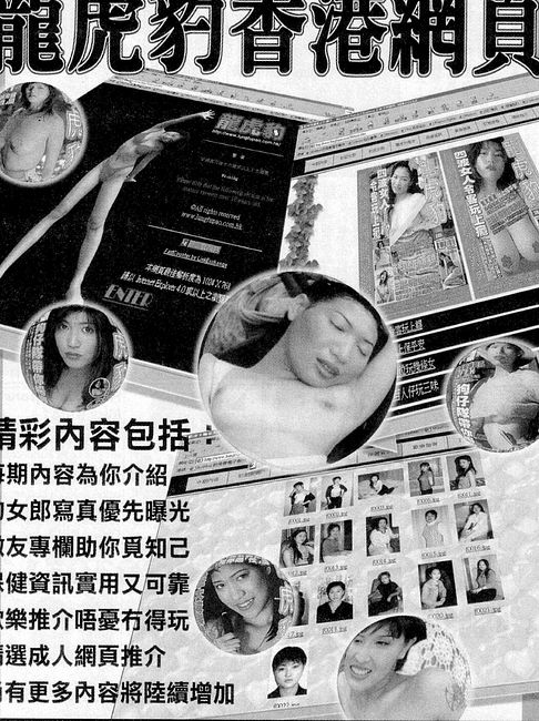 香港龍虎豹最新地址揭秘，探索自然美景，尋覓內(nèi)心寧靜之旅